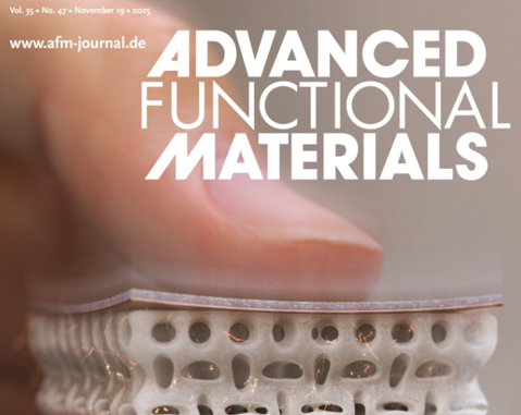 [기계설계로봇] 강민규 석사과정, Advanced Functional Materials (IF: 19) 표지논문 게재 (지도교수: 표순재)